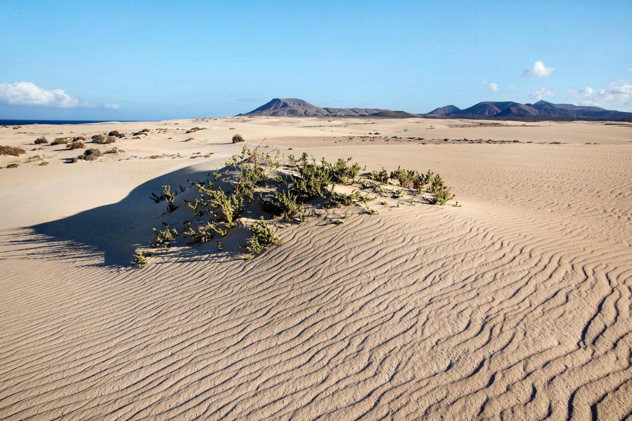 Villa Contenta Corralejo Bagian luar foto